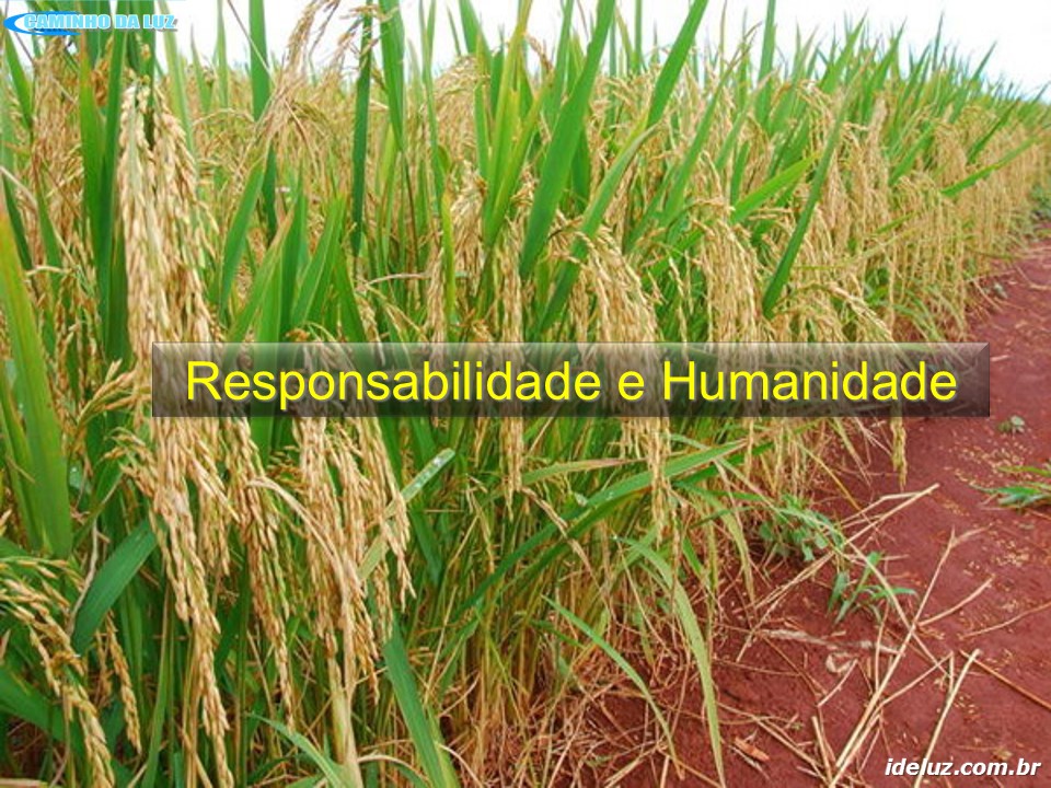 Responsabilidade e Humanidade