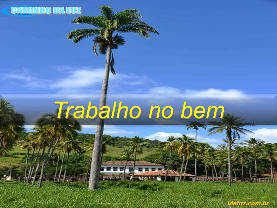 Trabalho no bem