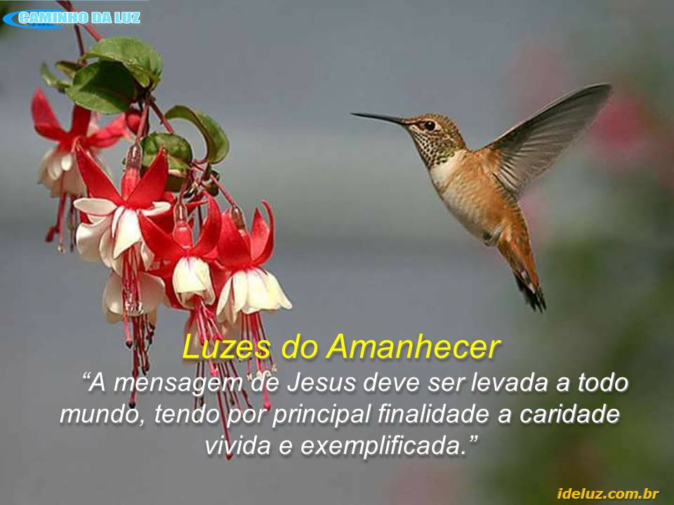 A Mensagem de Jeus