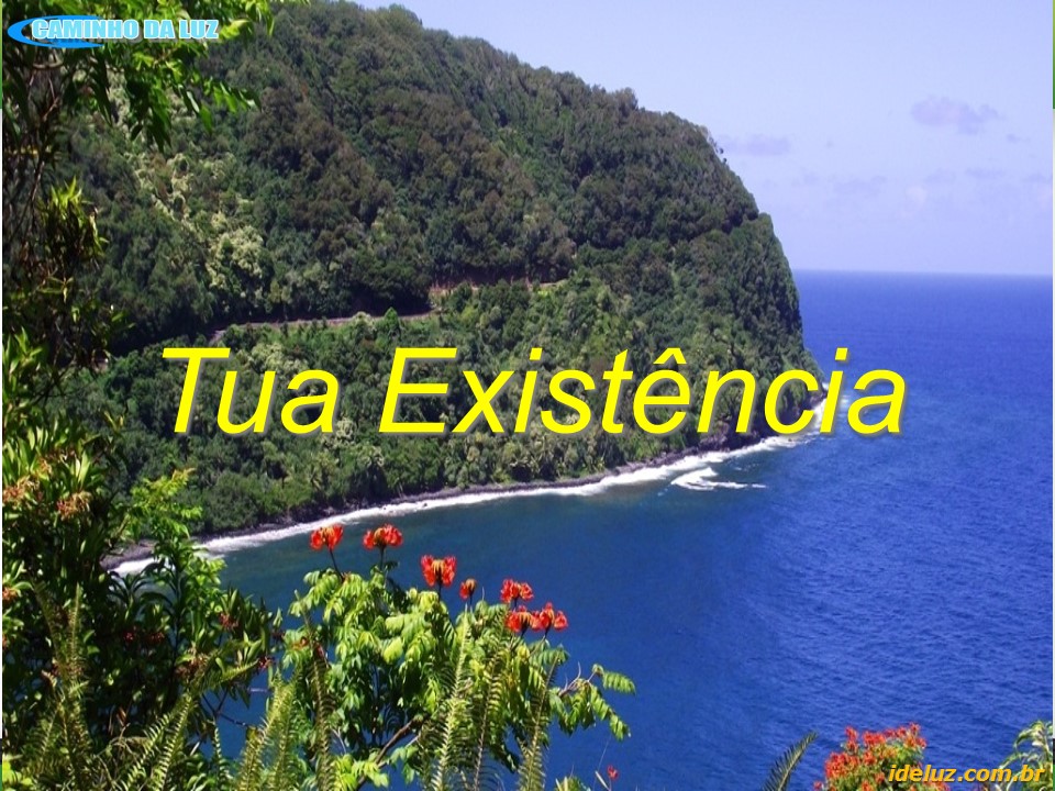 Tua Existência