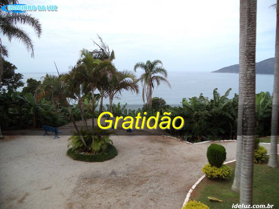 Gratidão