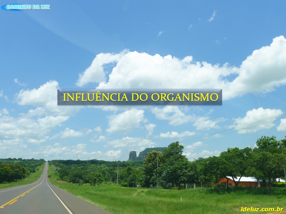 Influência do Organismo