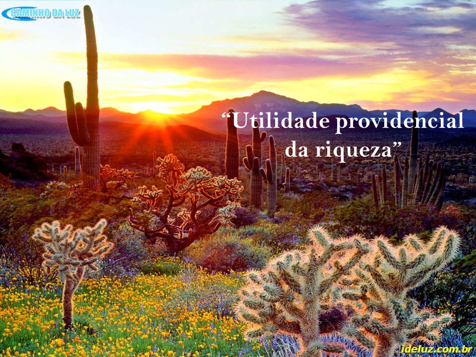 Utilidade Providencial da Riqueza