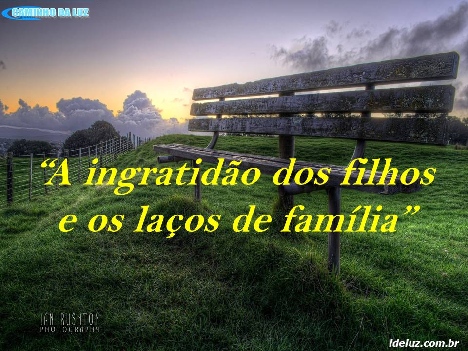 A ingratidão dos filhos e os laços de familia