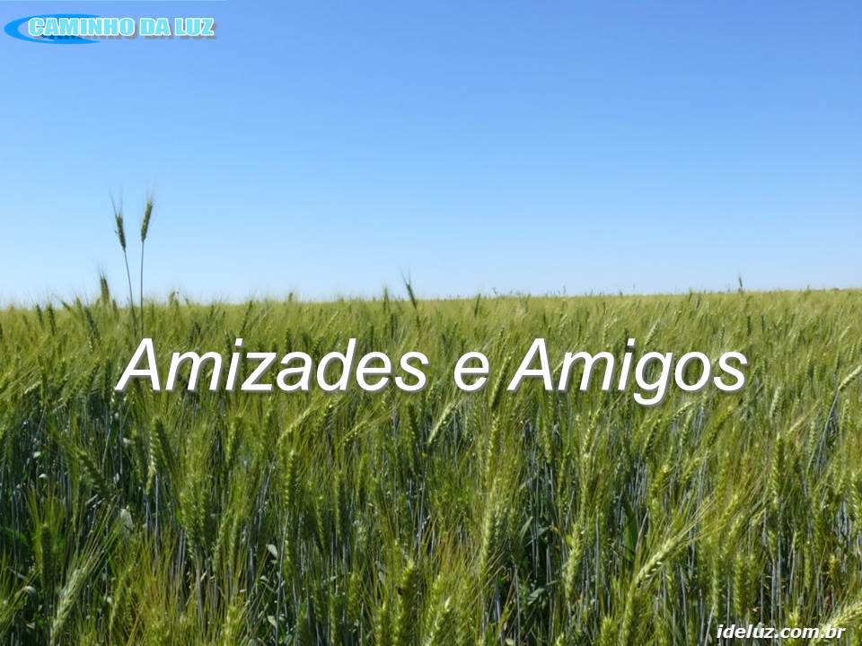 Amizade e Amigos