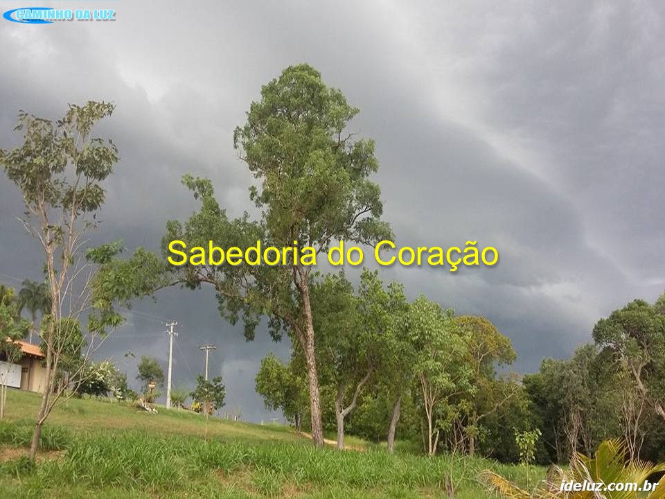 Sabedoria do Coração