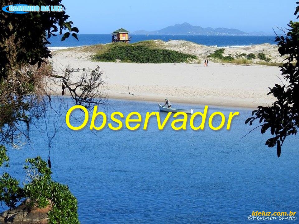 Observador