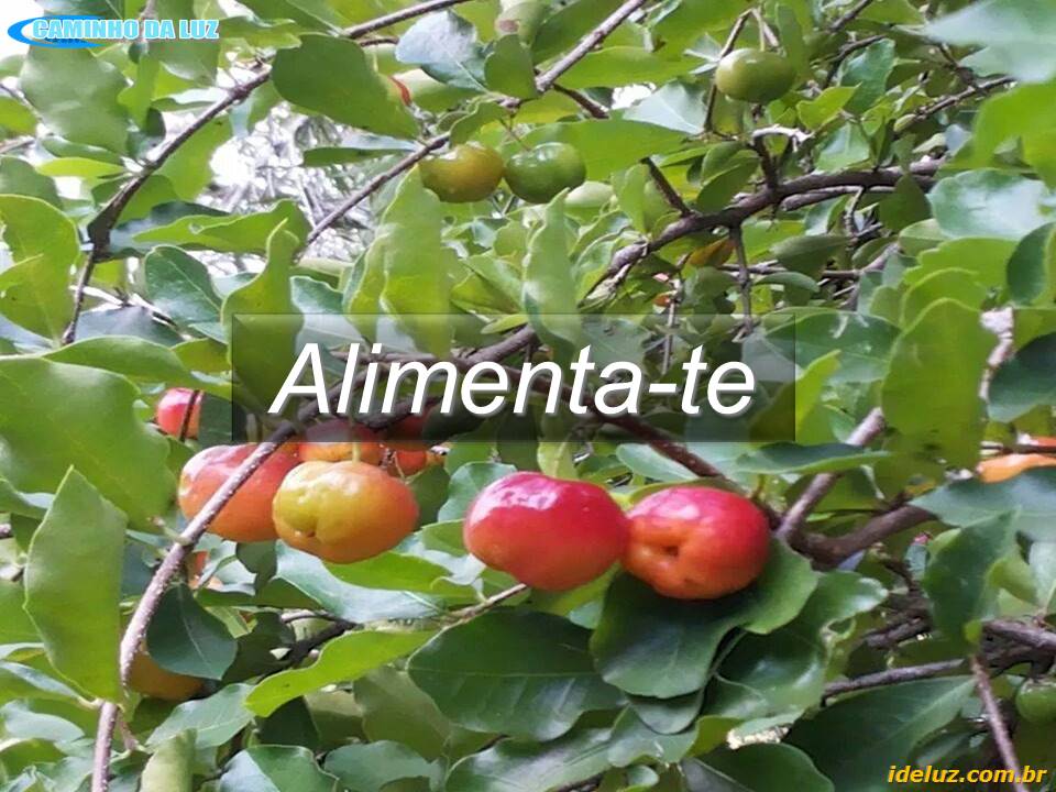 Alimenta te