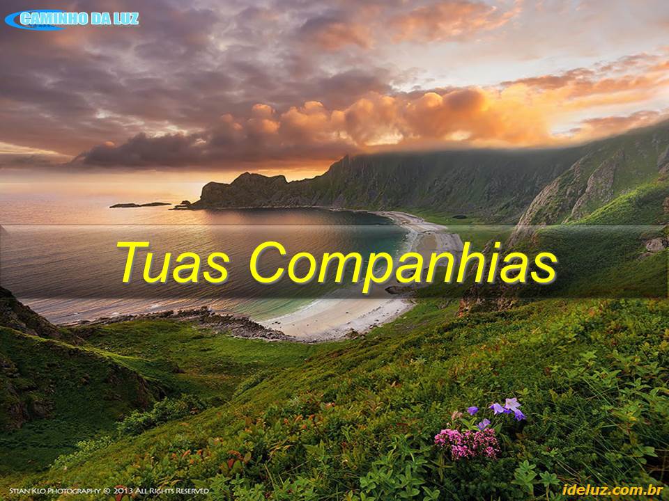 Tuas Companhias