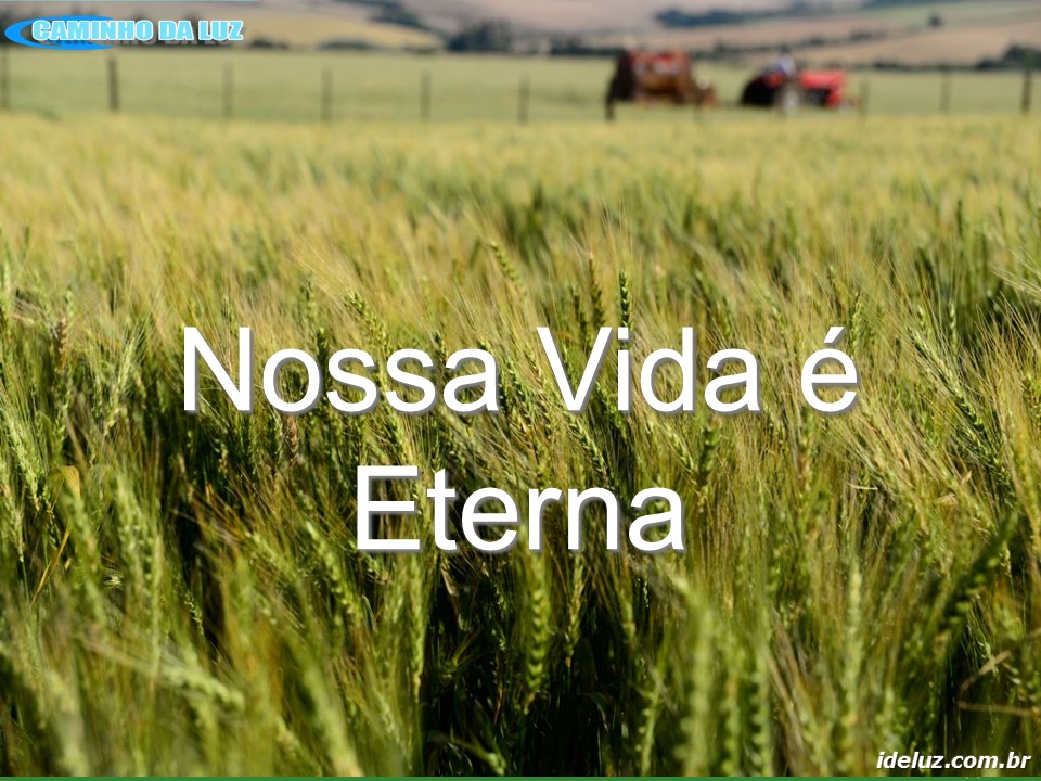 Nossa Vida é Eterna