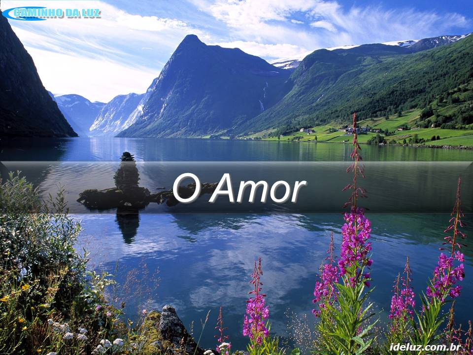 O Amor
