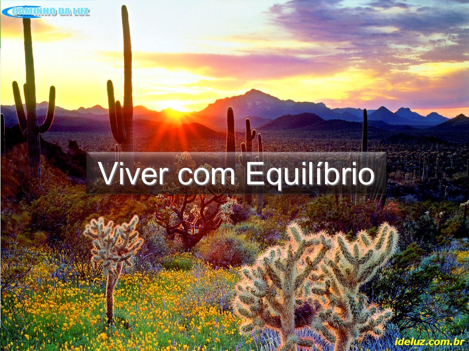 Viver com Equilíbrio
