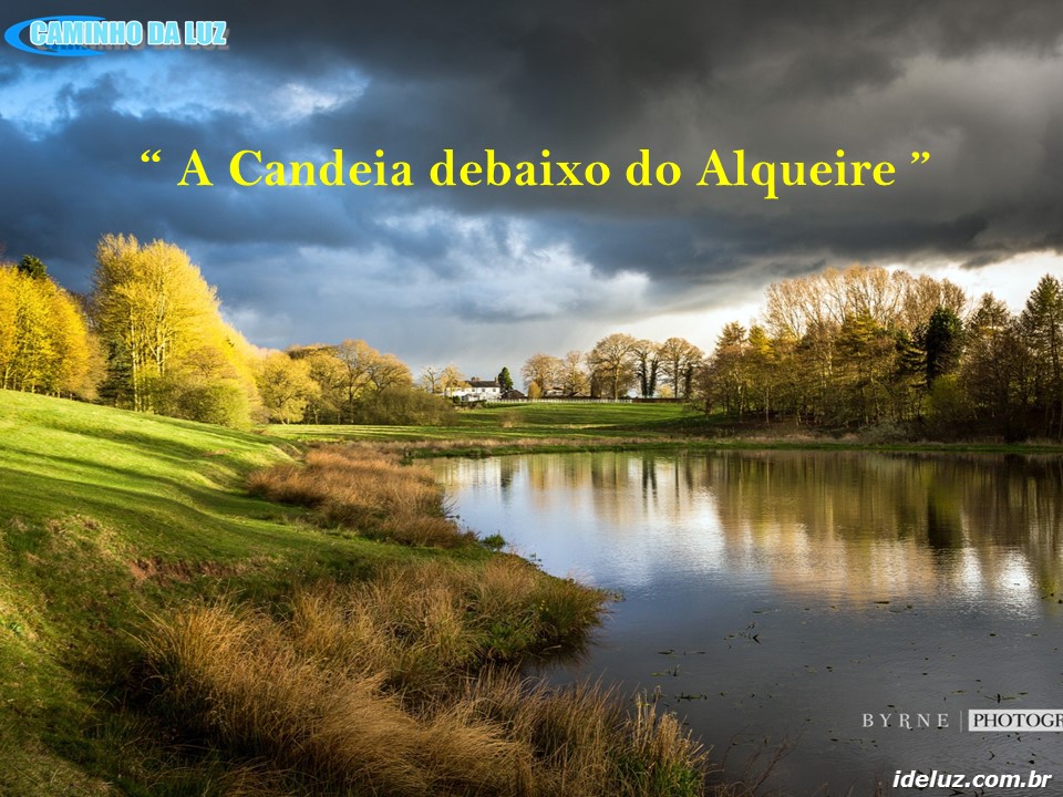 A Candeia debaixo do Alqueire