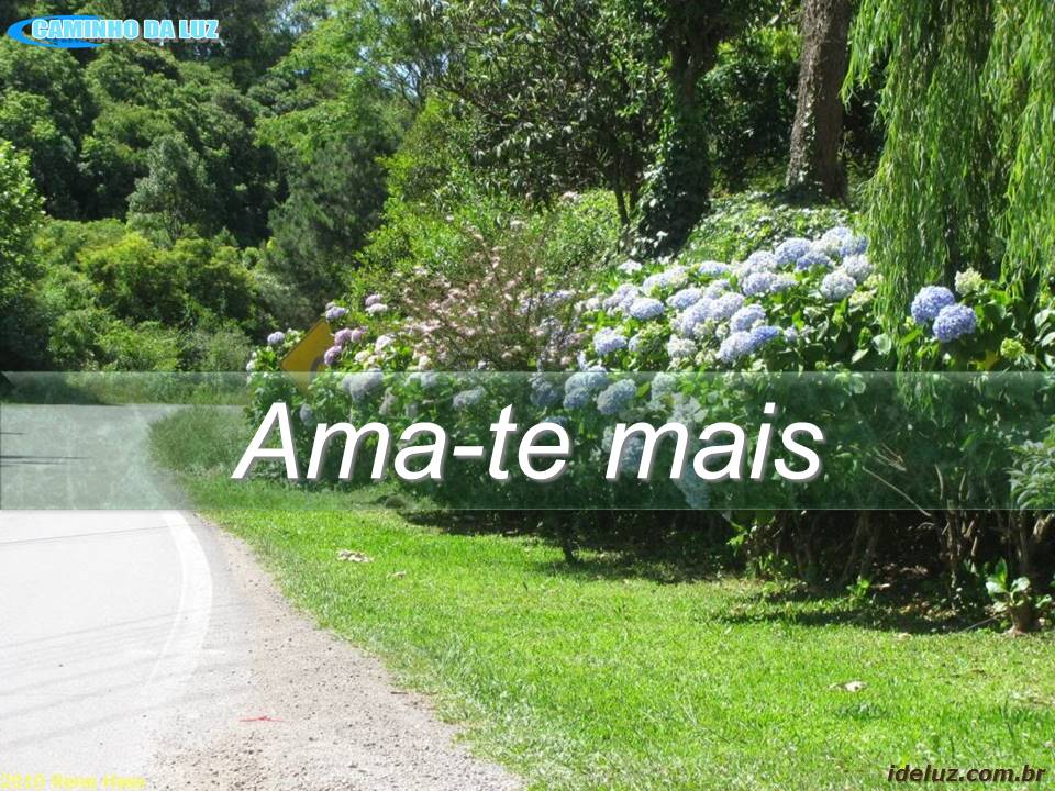 Ama-te Mais