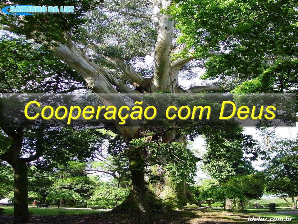 Cooperação com Deus