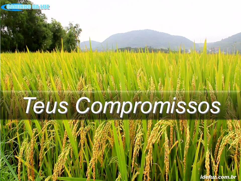 Teus Compromissos
