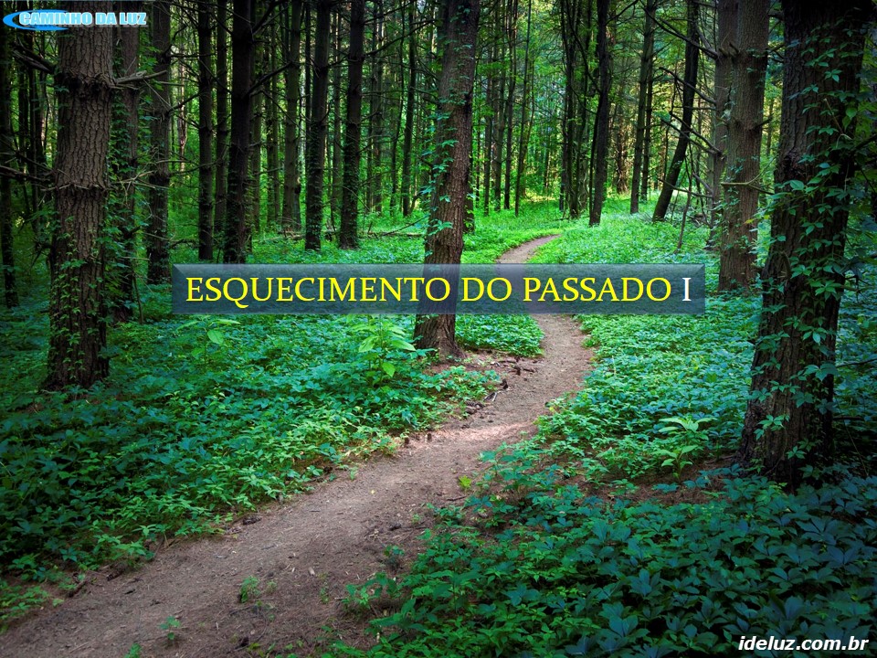 Esquecimento do Passado I
