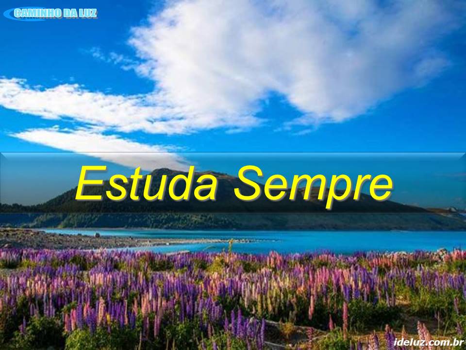 Estuda Sempre