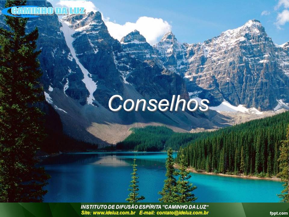 Os Conselhos