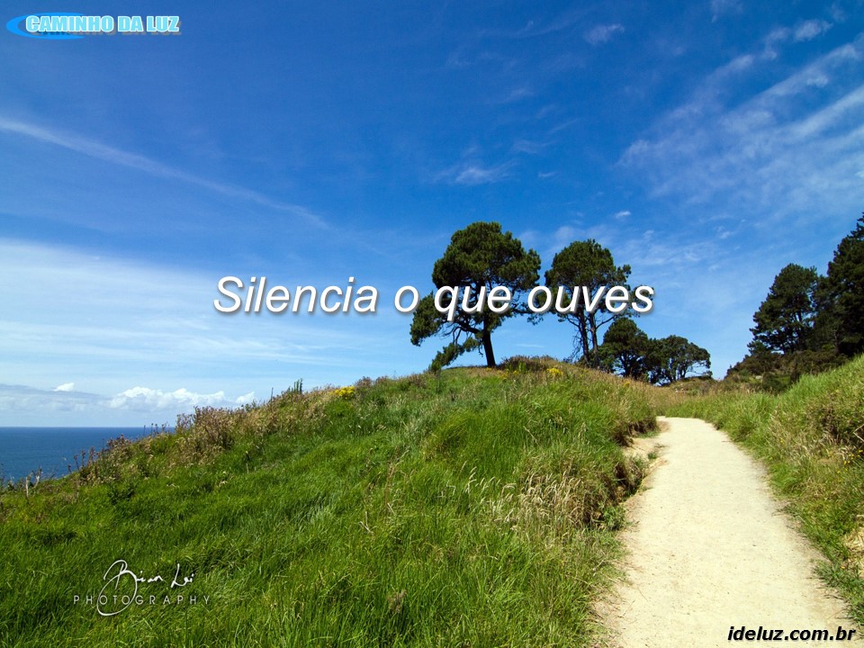 Silencia o que ouves