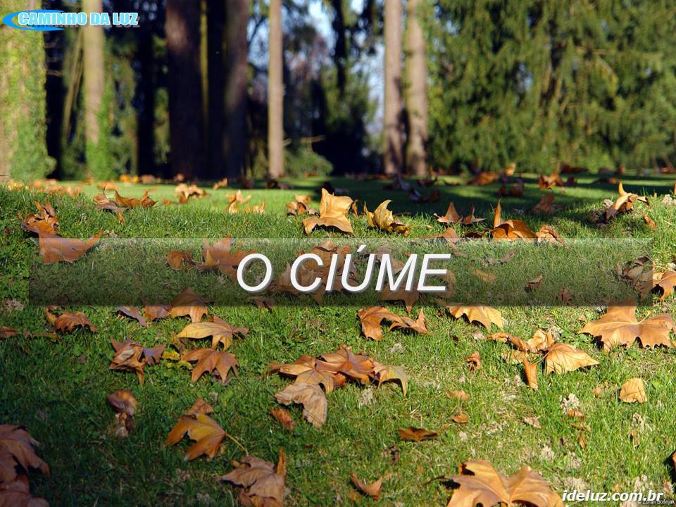 O Ciúme