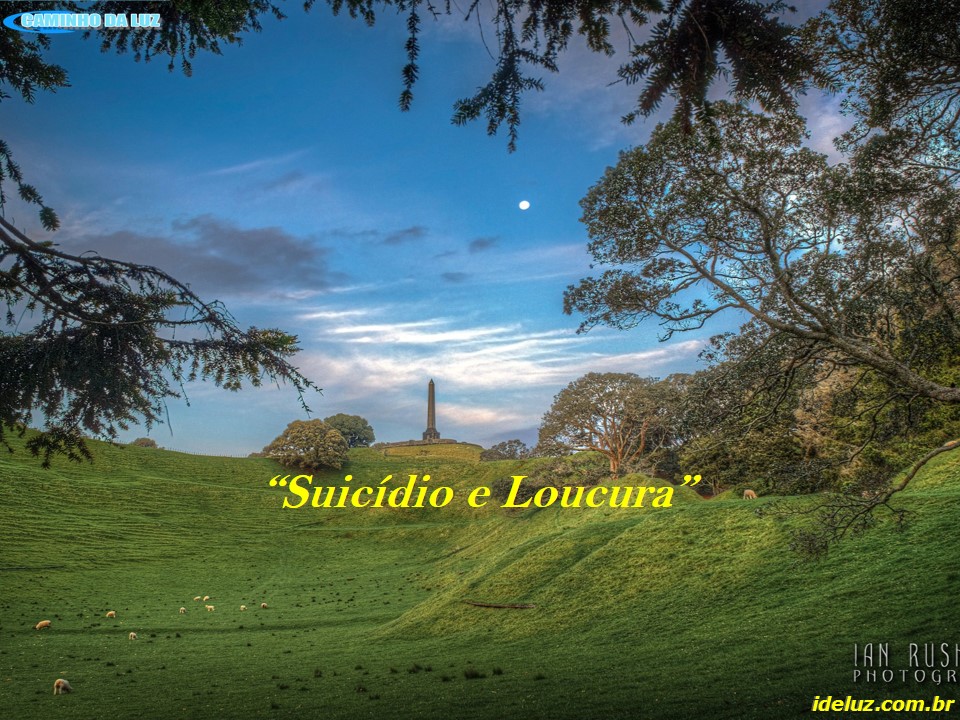 Suicídio e Loucura