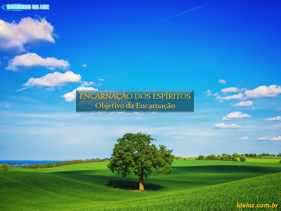 Objetivo da Encarnação