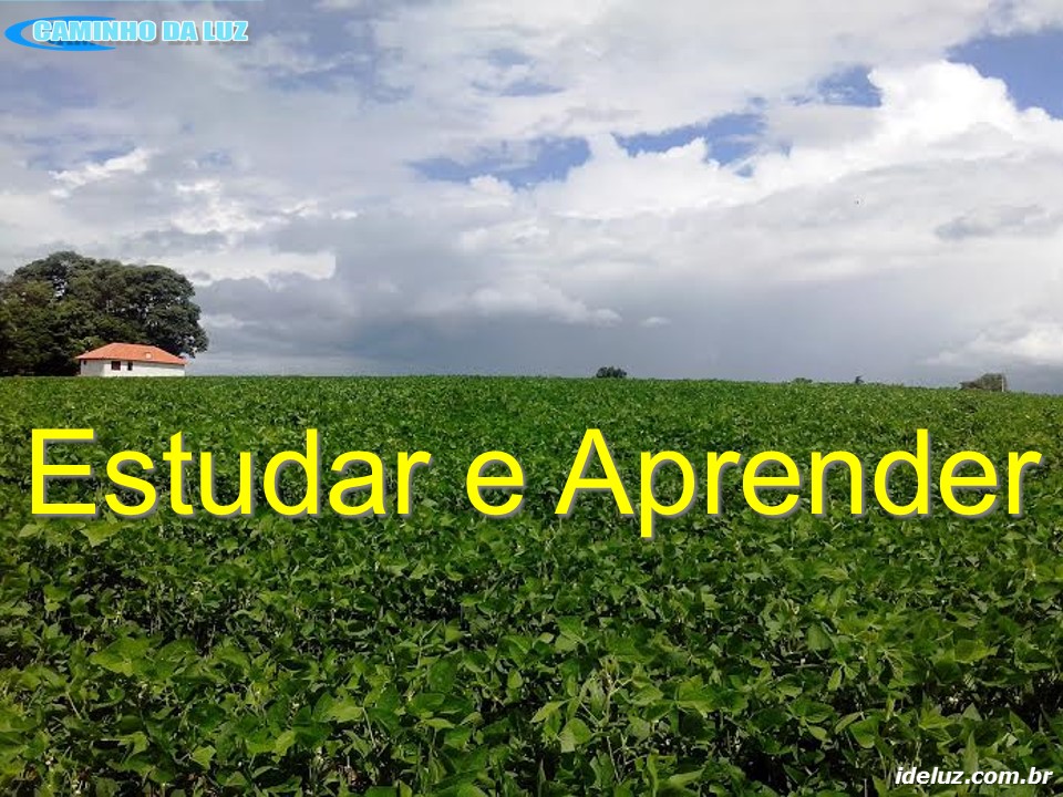 Estudar e Aprender