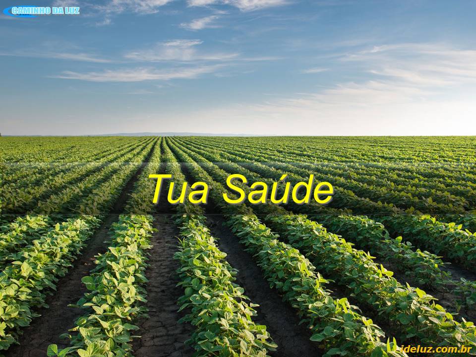 Tua Saúde