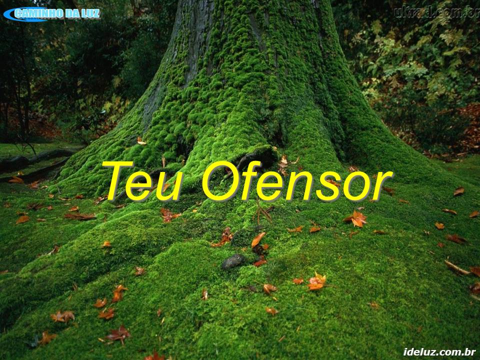 Teu Ofensor