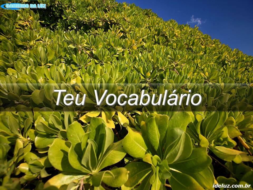 Teu Vocabulário
