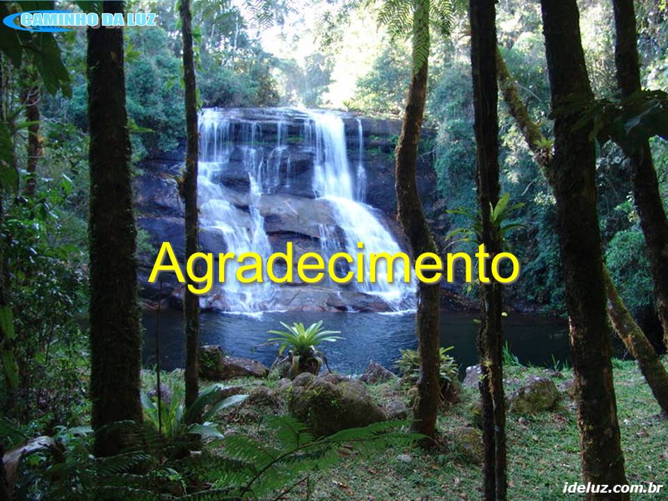 Agradecimento