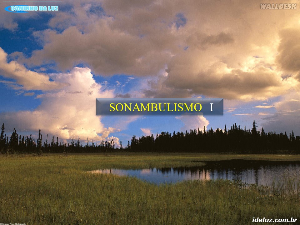 Sonambulismo I