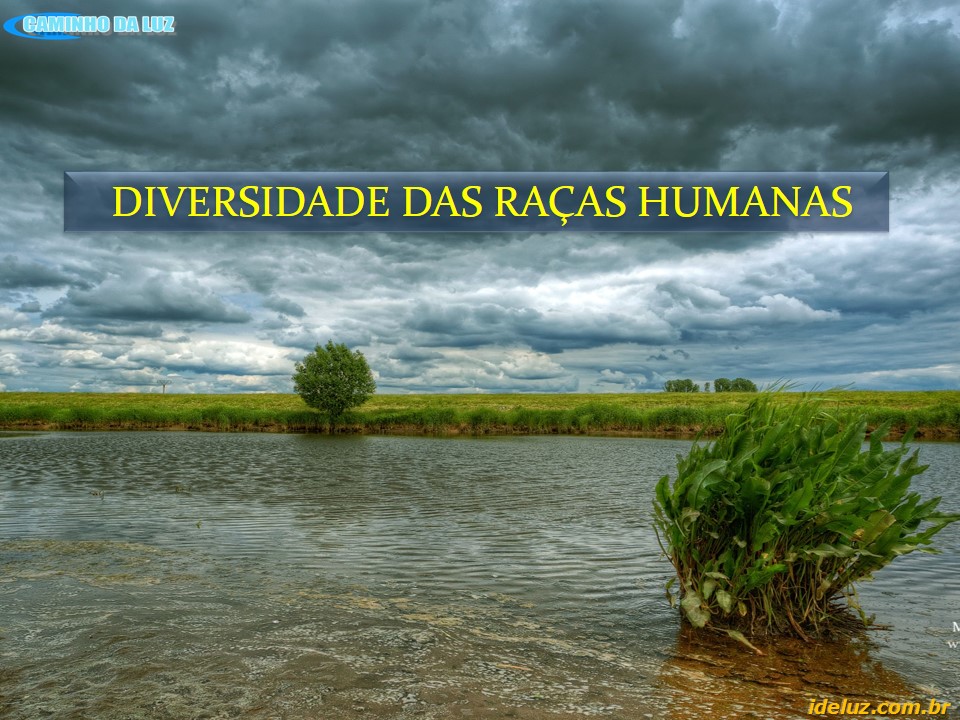 Diversidade das Raças Humanas
