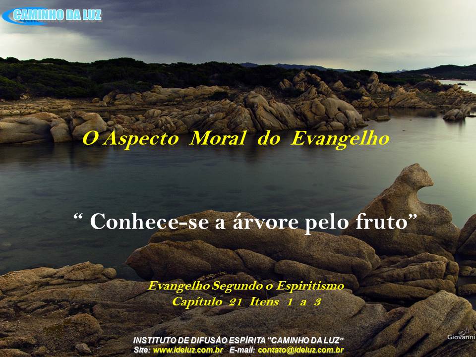 Conhece se a árvore pelos seus frutos