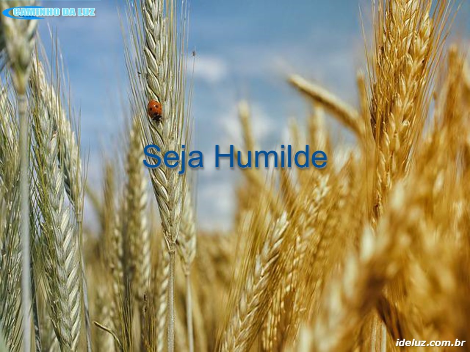 Seja humilde