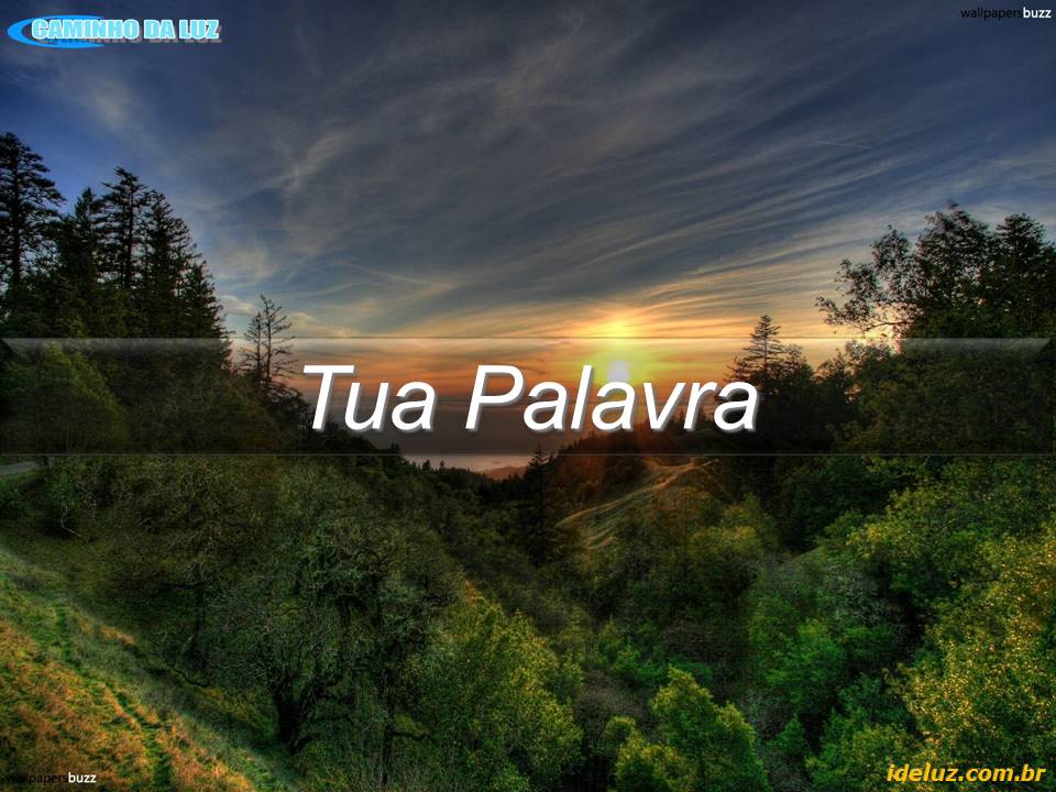 A Tua Palavra