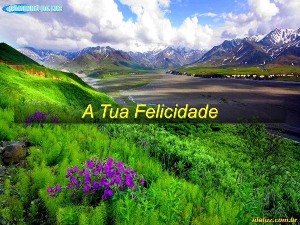A Tua Felicidade
