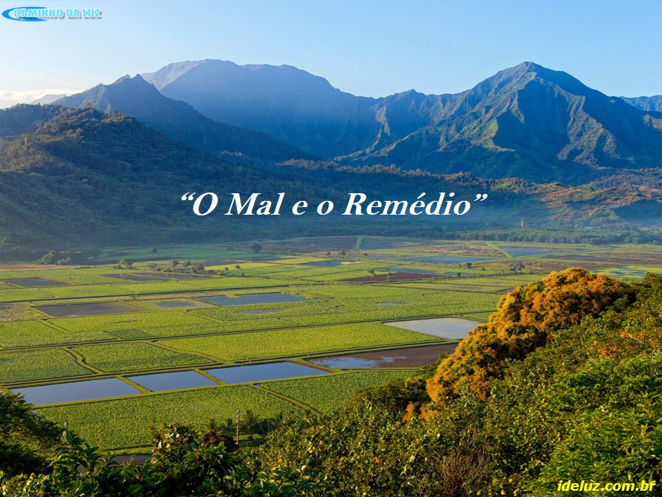 O Mal e o Remédio