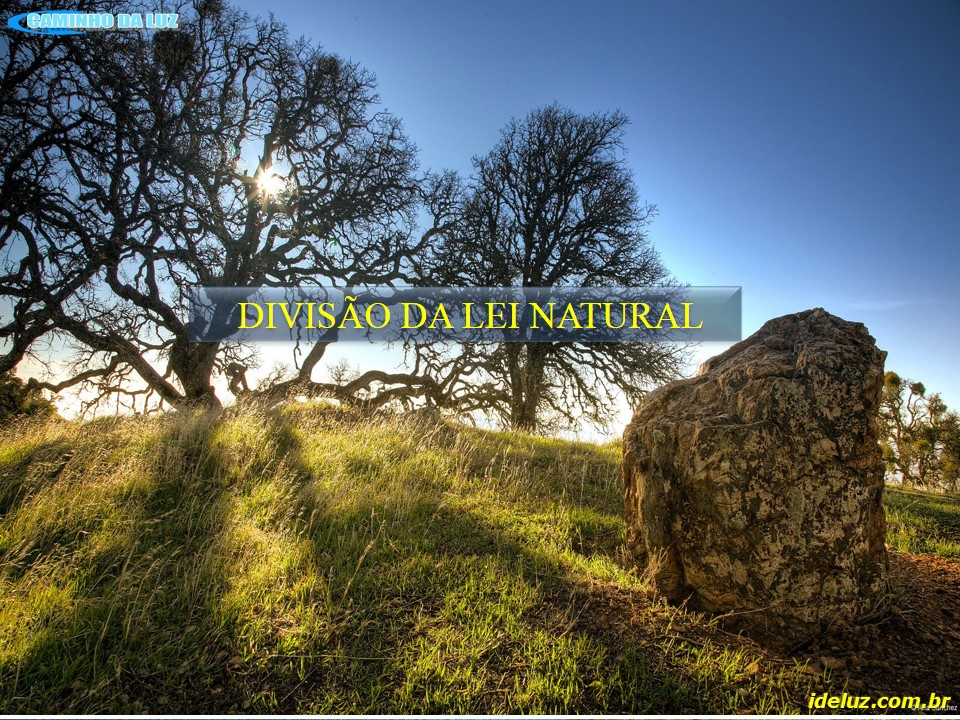 Divisão da Lei Natural