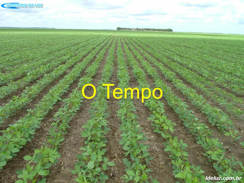 O Tempo