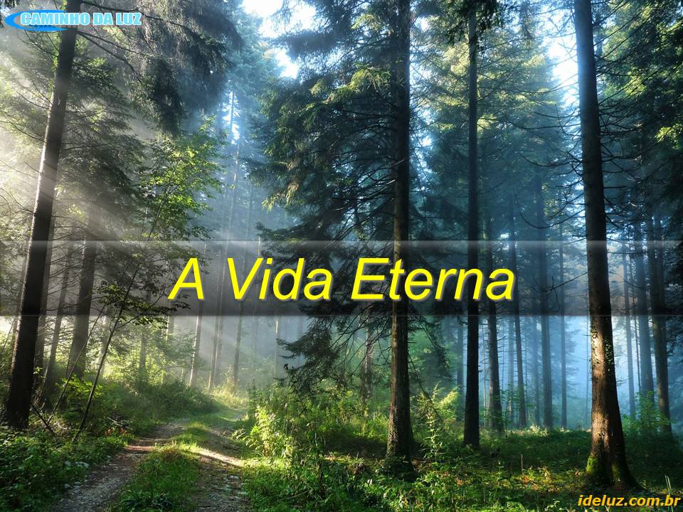 A Vida Eterna