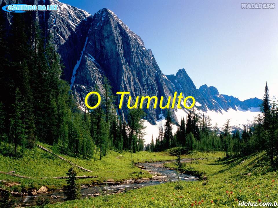 O Tumulto
