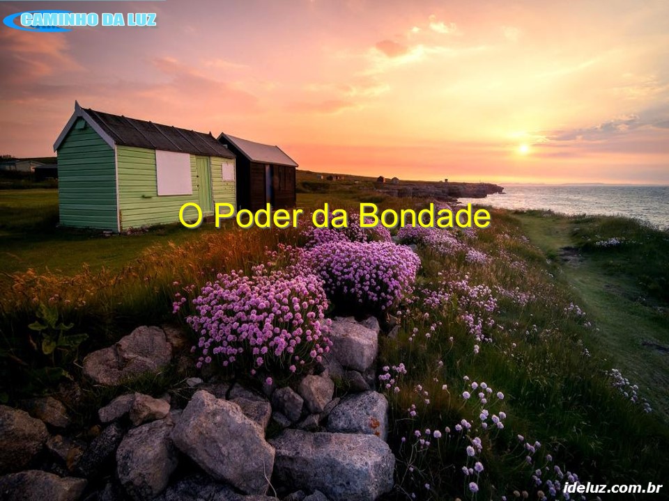 O Poder da Bondade