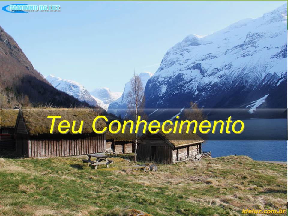 Teu Conhecimento
