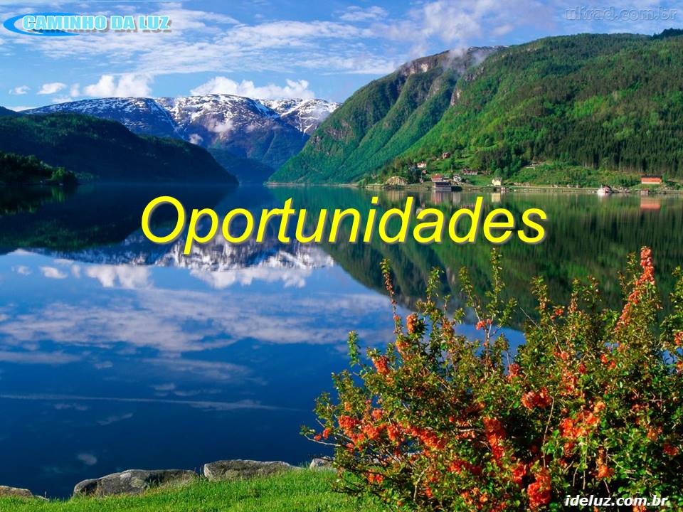 Oportunidades
