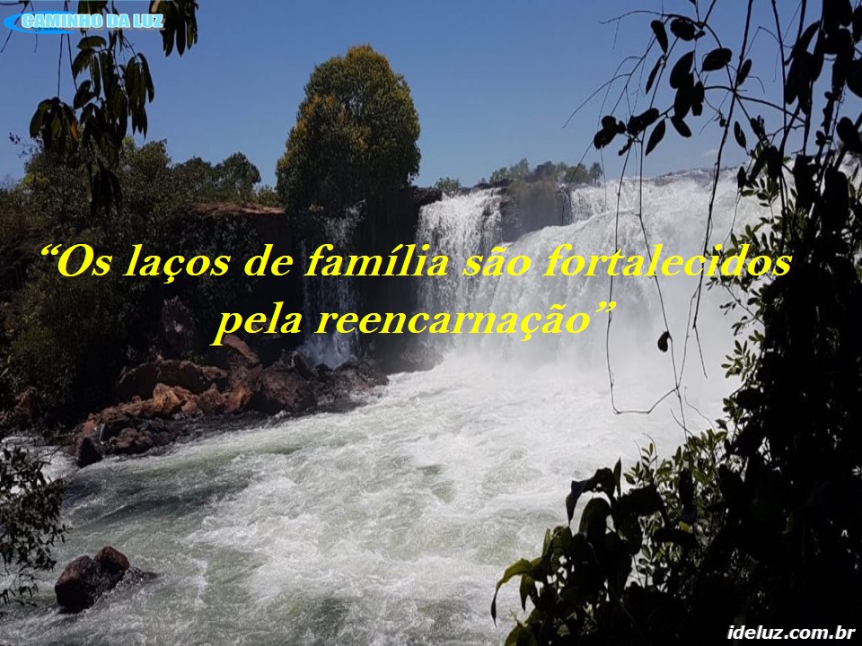 Os laços de Familia são fortalecidos pela Reencarnação
