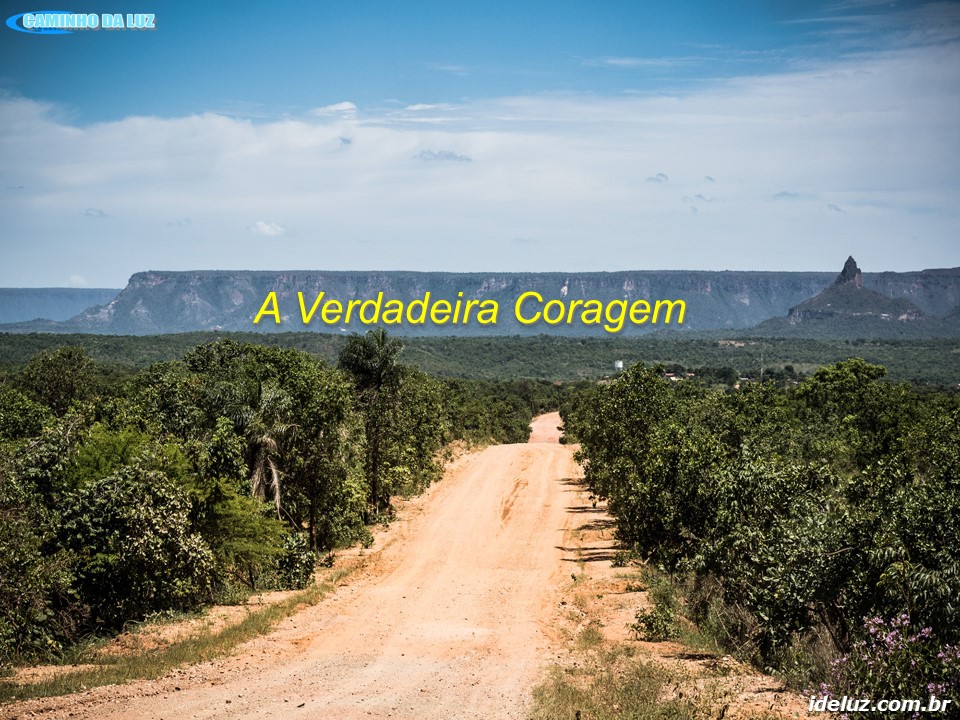 A Verdadeira Coragem