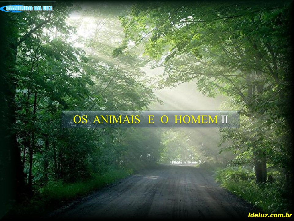 Os animais e o homem II