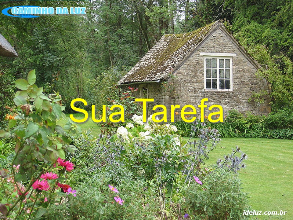 Sua Tarefa